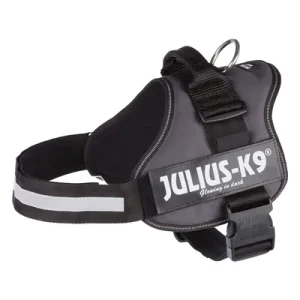 Power Harness - Anthracite