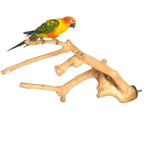 Wood Bird Perch Multi Branch Medium