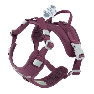 Halti Anatomy Dog Harness Magenta